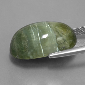 Serpentina verde natural de 14,20 ct, corte óvalo, opaco
