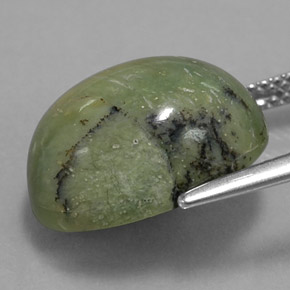 Serpentina verde natural de 7,68 ct, corte óvalo, opaco
