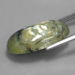 Serpentina verde natural de 9,95 ct, corte óvalo, opaco