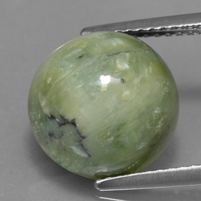 Serpentina verde natural de 5,17 ct, corte redondo, opaco