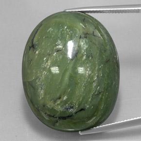 Serpentina Verde terroso natural de 79.50 ct, Ovalada, Opaco