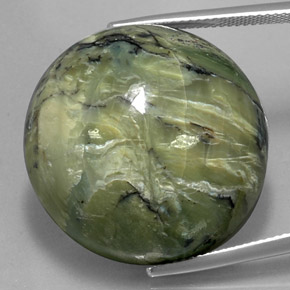 Serpentina verde natural de 58,61 ct, corte redondo, opaco