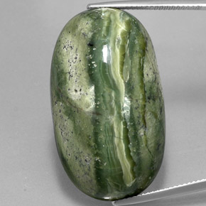 Serpentina verde natural de 49,97 ct, corte óvalo, opaco