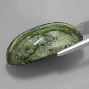 Serpentina verde natural de 49,97 ct, corte óvalo, opaco