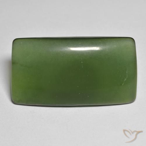 25.58ct Natural Verde oscuro Serpentina, Forma Cojín, Translúcido