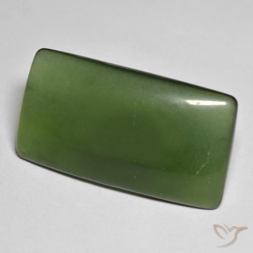 Serpentina Verde oscuro natural de 25.58 ct, Forma Cojín, Translúcido