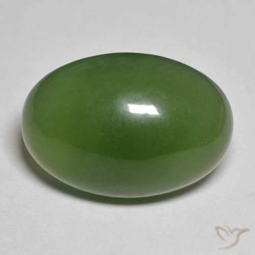 19.65ct Natural Verde alga Serpentina, Ovalada, Translúcido