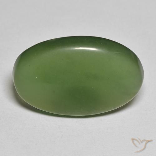 13.43ct Natural Verde oscuro Serpentina, Ovalada, Translúcido