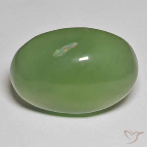 49.70ct Natural Verde alga Serpentina, Ovalada, Translúcido