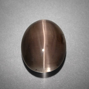 Sillimanite cat's eye gris natural de 4,25 ct, transparente, transparente / translúcido