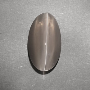 Sillimanite cat's eye marrón natural de 7,02 ct, transparente, transparente / translúcido