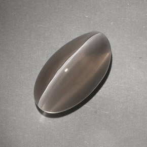 Sillimanite cat's eye marrón natural de 7,02 ct, transparente, transparente / translúcido