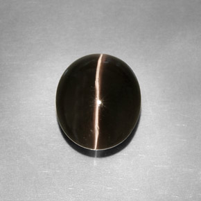 Sillimanite cat's eye gris natural de 4,11 ct, transparente, transparente / translúcido