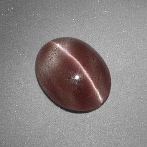 Sillimanite cat's eye marrón natural de 1,60 ct, corte óvalo, translúcido