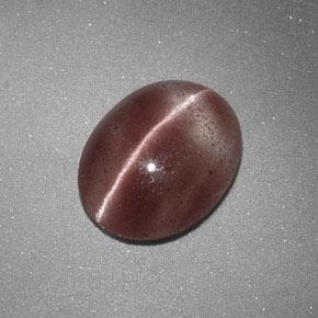 Sillimanite cat's eye marrón natural de 1,60 ct, corte óvalo, translúcido