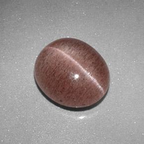 Sillimanite cat's eye marrón natural de 2,04 ct, corte óvalo, translúcido