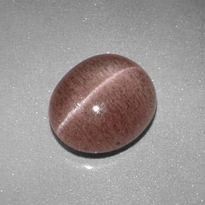Sillimanite cat's eye marrón natural de 2,04 ct, corte óvalo, translúcido