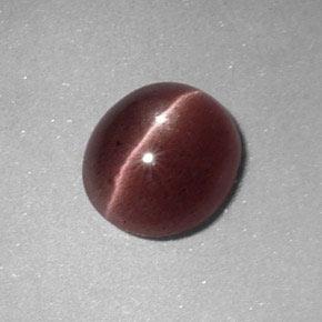 Sillimanite cat's eye marrón natural de 1,64 ct, corte óvalo, opaco