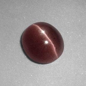 Sillimanite cat's eye marrón natural de 1,64 ct, corte óvalo, opaco