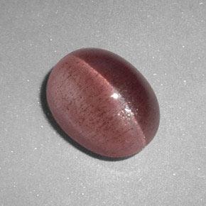 Sillimanite cat's eye rosa natural de 2,89 ct, corte óvalo, translúcido