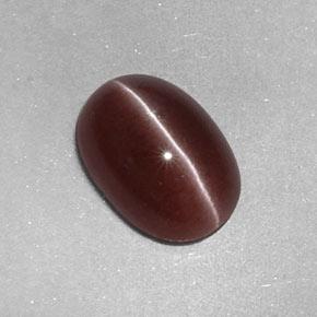 Sillimanite cat's eye marrón natural de 2,05 ct, corte óvalo, opaco