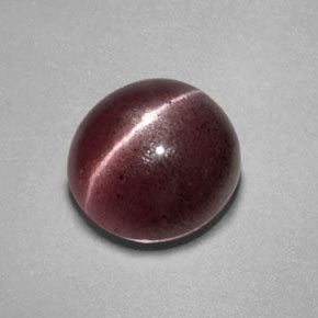 Sillimanite cat's eye marrón natural de 2,55 ct, transparente, transparente / translúcido