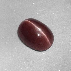 Sillimanite cat's eye marrón natural de 1,58 ct, corte óvalo, opaco