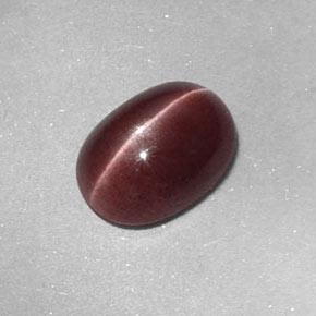 Sillimanite cat's eye marrón natural de 1,58 ct, corte óvalo, opaco