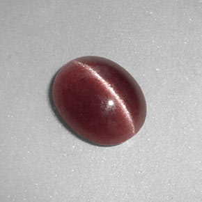 Sillimanite cat's eye marrón natural de 1,26 ct, transparente, transparente / translúcido