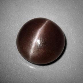 Sillimanite cat's eye marrón natural de 6,99 ct, corte redondo, opaco