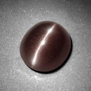 Sillimanite cat's eye marrón natural de 3,29 ct, corte óvalo, opaco