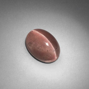 Sillimanite cat's eye marrón natural de 2,58 ct, corte óvalo, translúcido
