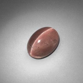Sillimanite cat's eye marrón natural de 2,58 ct, corte óvalo, translúcido