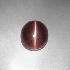 Sillimanite cat's eye marrón natural de 3,29 ct, corte óvalo, opaco