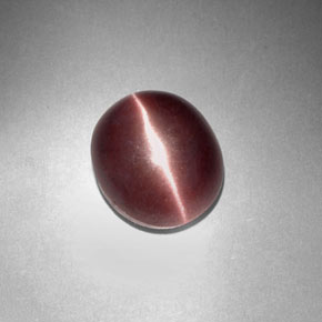 Sillimanite cat's eye marrón natural de 3,29 ct, corte óvalo, opaco