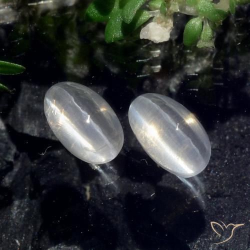 Gemas de Silimanita Ojo de Gato Blanco claro natural de 1.43 ct, Ovalada, Translúcido