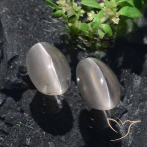 Gemas de Silimanita Ojo de Gato Gris muy claro natural de 2.20 ct, Ovalada, Translúcido