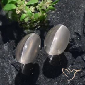 Gemas de Silimanita Ojo de Gato Gris muy claro natural de 2.20 ct, Ovalada, Translúcido