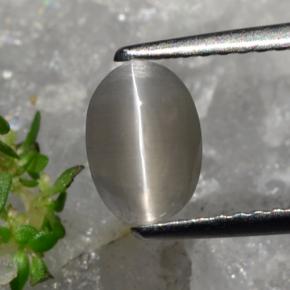 Silimanita Ojo de Gato Marrón grisáceo natural de 1.23 ct, Corte Óvalo, Translúcido