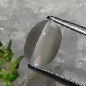 Silimanita Ojo de Gato Marrón grisáceo natural de 1.23 ct, Corte Óvalo, Translúcido