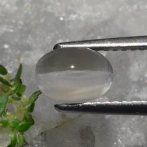 Silimanita Ojo de Gato Marrón grisáceo natural de 1.23 ct, Corte Óvalo, Translúcido