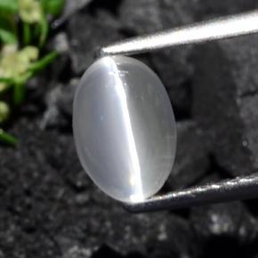 Silimanita Ojo de Gato Marrón grisáceo natural de 1.40 ct, Corte Óvalo, Transparente