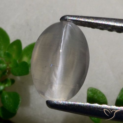 1.65ct Natural Gris muy claro Silimanita Ojo de Gato, Ovalada, Translúcido