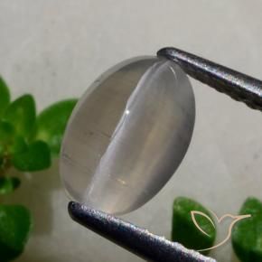 Silimanita Ojo de Gato Gris muy claro natural de 1.65 ct, Ovalada, Translúcido