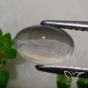 Silimanita Ojo de Gato Gris muy claro natural de 1.65 ct, Ovalada, Translúcido