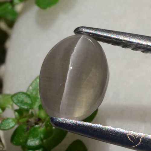 1.80ct Natural Marrón cacahuete Silimanita Ojo de Gato, Ovalada, Translúcido