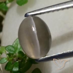 Silimanita Ojo de Gato Marrón cacahuete natural de 1.80 ct, Ovalada, Translúcido
