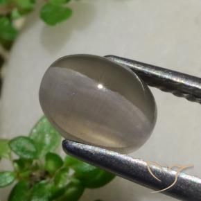 Silimanita Ojo de Gato Marrón cacahuete natural de 1.80 ct, Ovalada, Translúcido