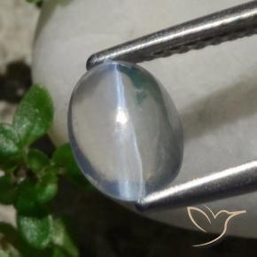 Silimanita Ojo de Gato Blanco natural de 1.47 ct, Ovalada, Transparente
