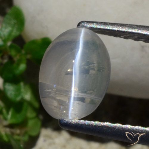 1.42ct Natural Gris muy claro Silimanita Ojo de Gato, Ovalada, Transparente